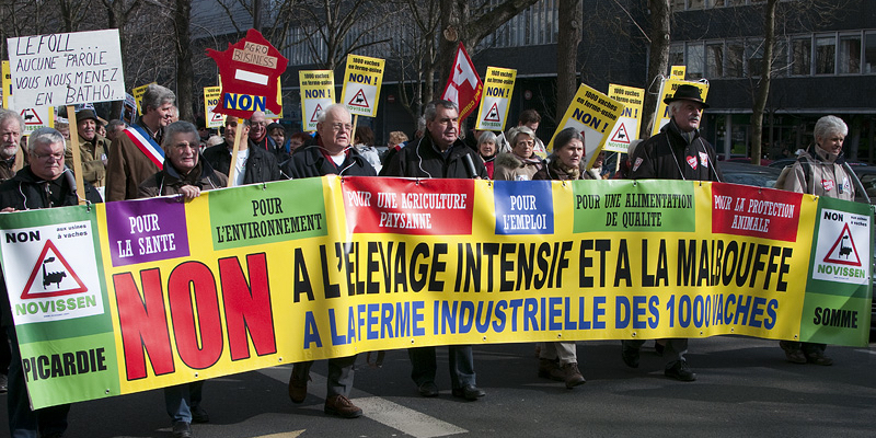 Ferme-usine des 1 000 vaches : un procès injuste, un projet dangereux