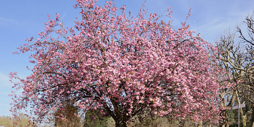 Le printemps s'annonce chaud, chaud, chaud !