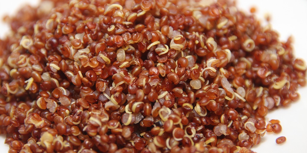 Encore un peu de quinoa ?