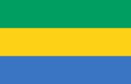 Question écrite - Situation politique du Gabon
