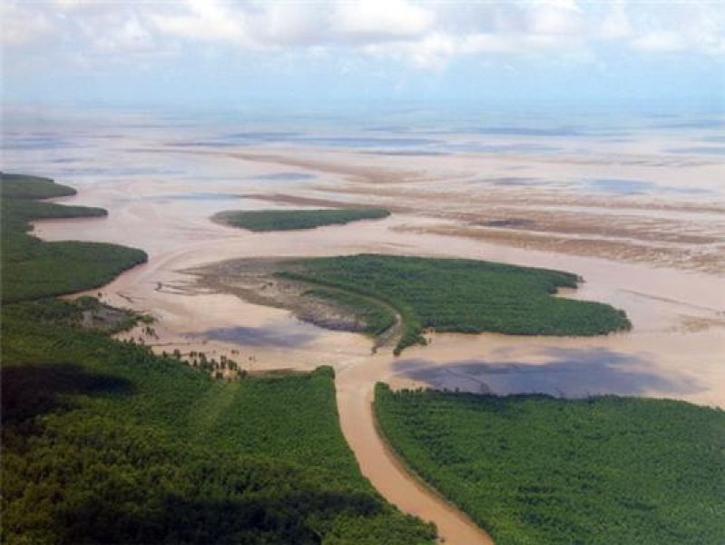 Question écrite :  taux de mercure sur le littoral guyanais