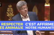 VIDÉO - Respecter les animaux c'est affirmer notre humanité