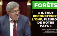 VIDÉO - Forêts : il faut reconstruire l'ONF, fleuron de notre pays !