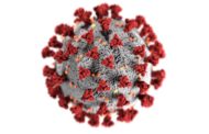 Sous le masque du coronavirus