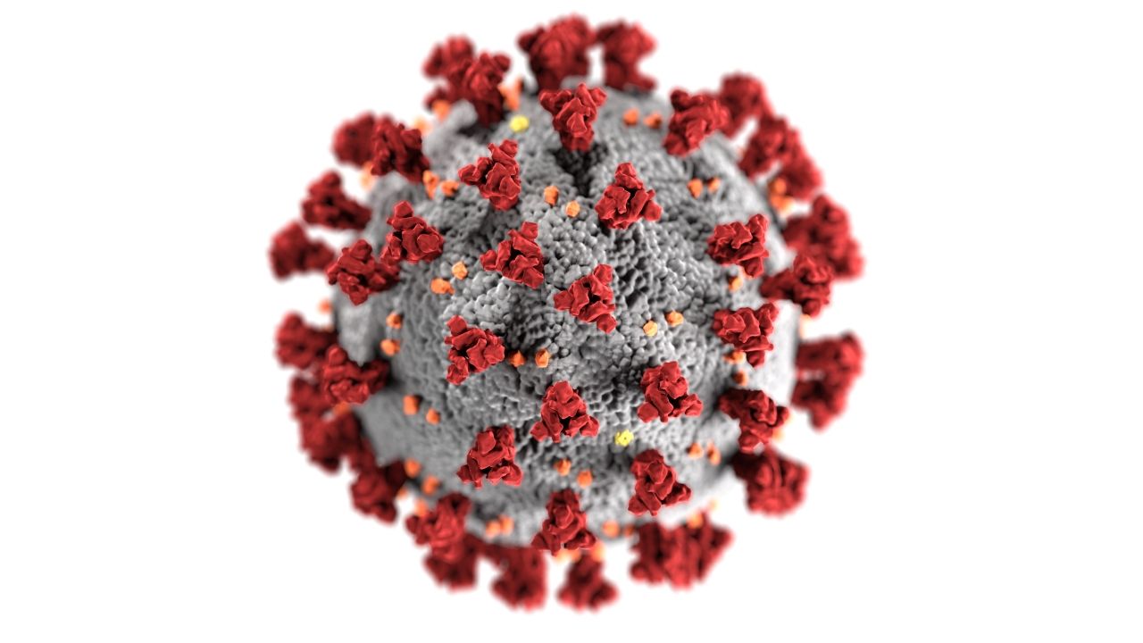 Sous le masque du coronavirus