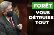 VIDÉO - Forêt : vous détruisez tout en démantelant l'État !