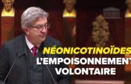 VIDÉO - Néonicotinoïdes : l'empoisonnement volontaire