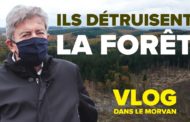 VLOG - Ils détruisent la forêt