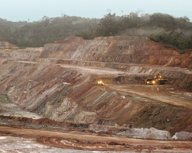 Question écrite : mine d'or en Guyane