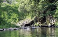 Alerte : les rivières françaises sont polluées