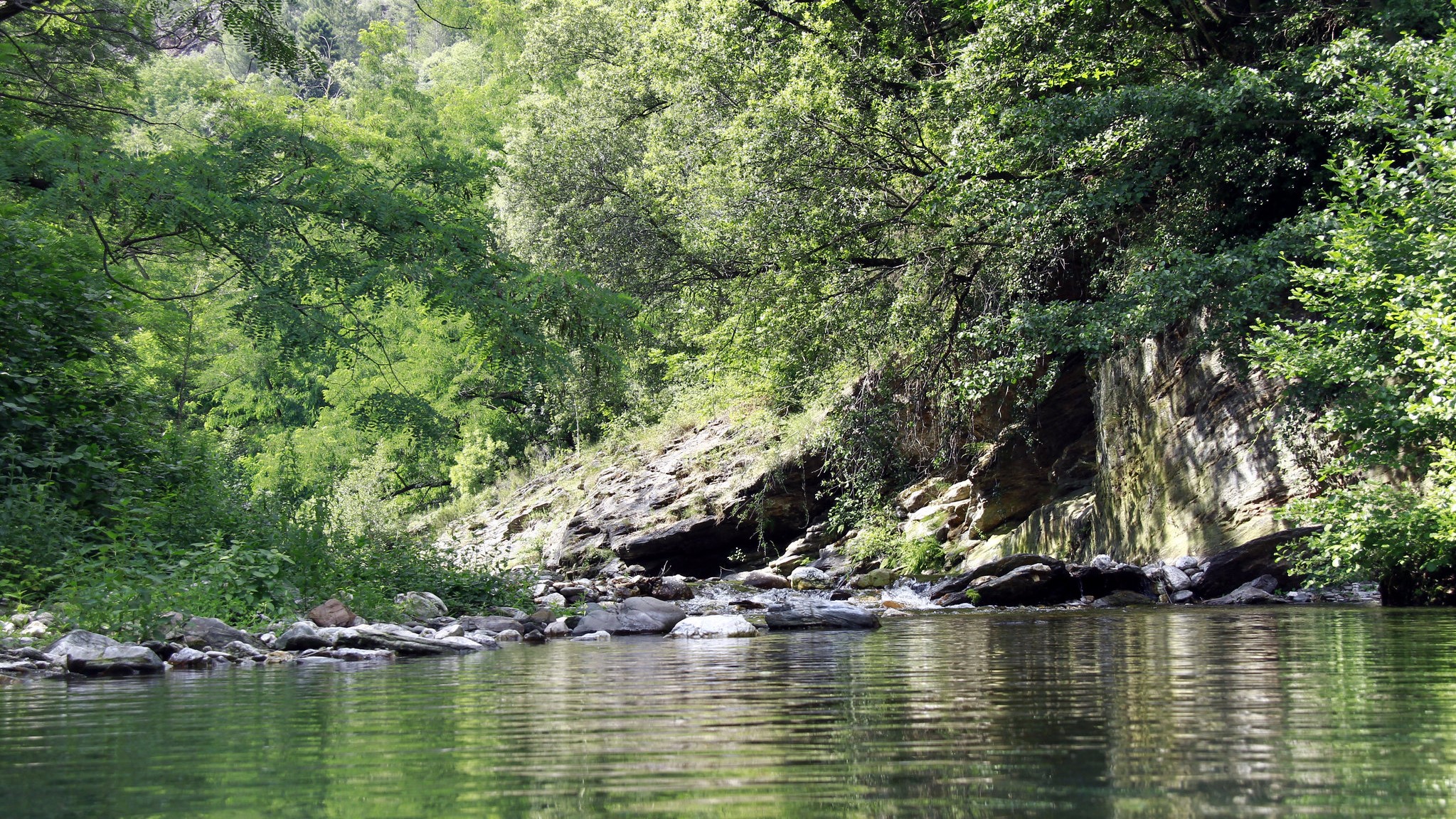 Alerte : les rivières françaises sont polluées